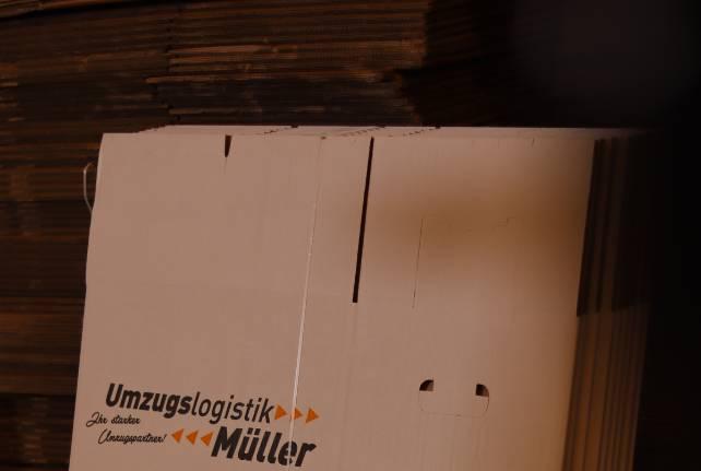 Günstiger Behördenumzug Wülknitz