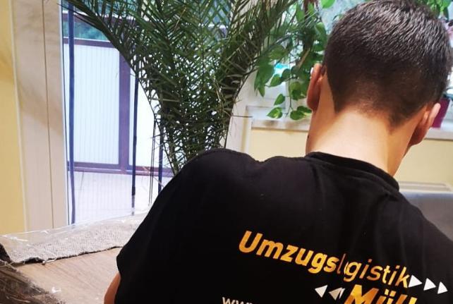 Laborumzug Wülknitz stressfrei umziehen 
